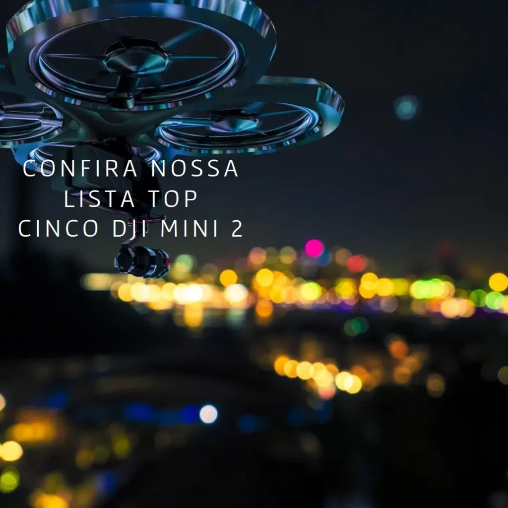 Top Cinco  dji mini 2