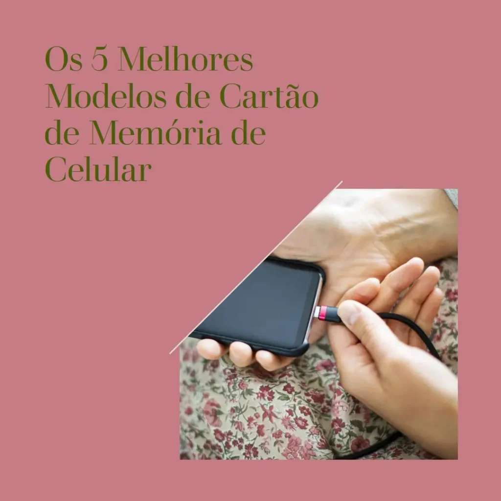 Os 5 Melhores Modelos de  Cartao De Memoria De Celular