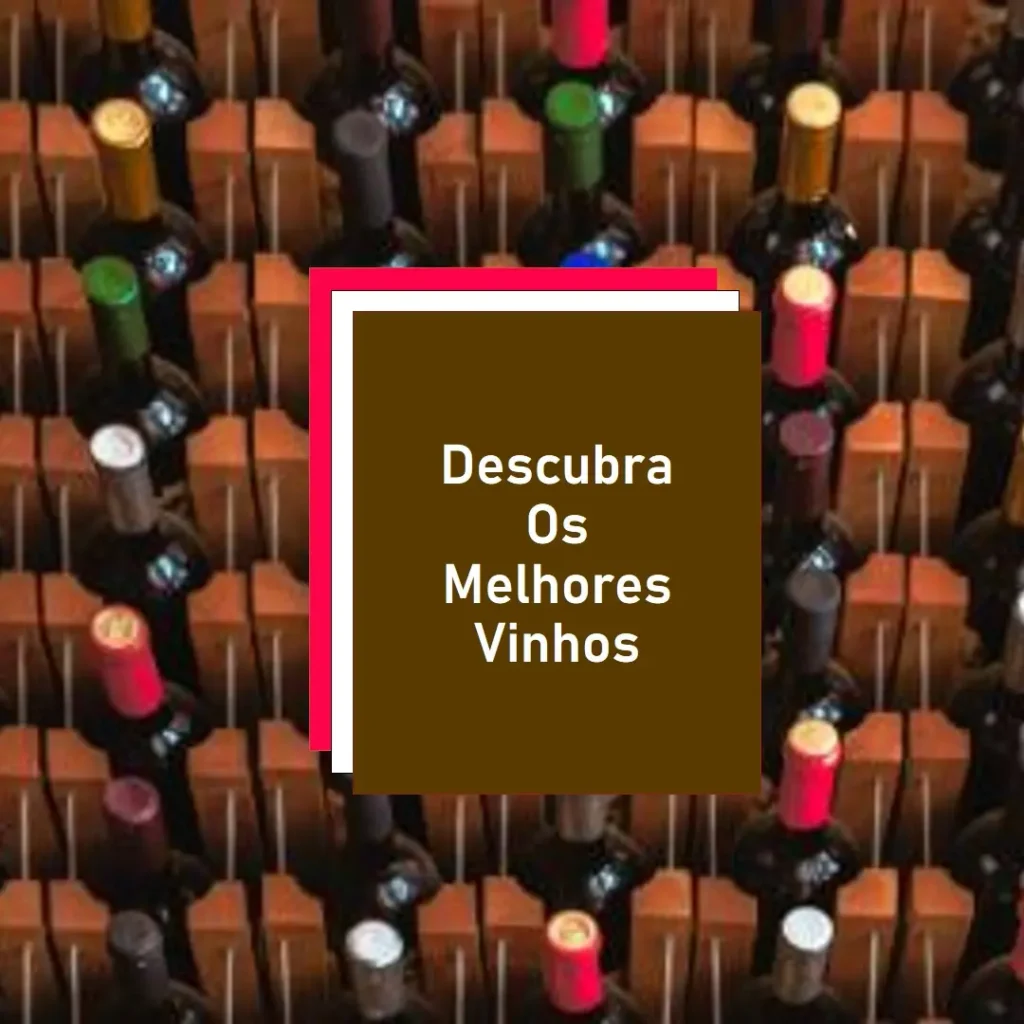 Melhores 5  adega vinho