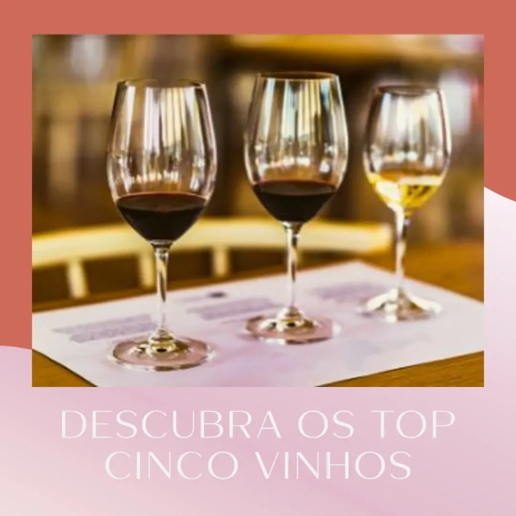 Top Cinco  adega de vinhos climatizada