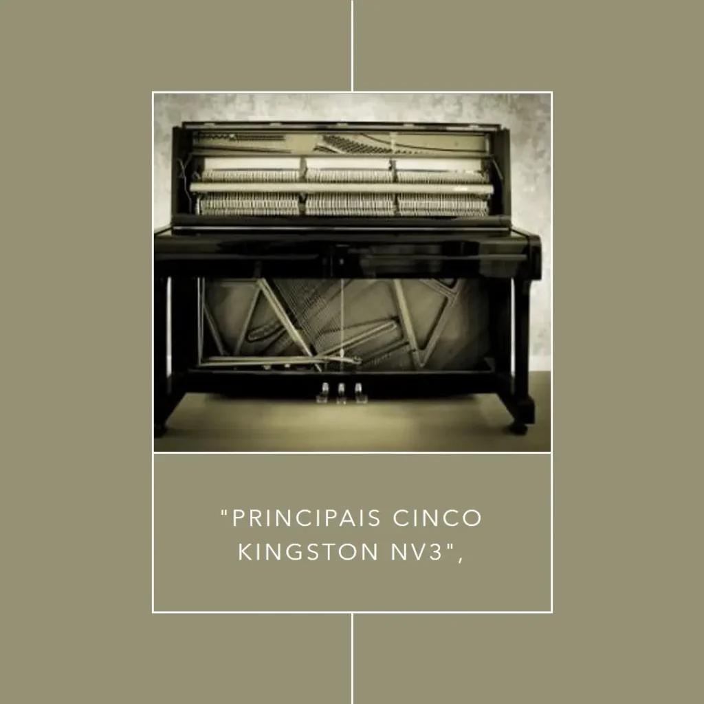 Principais Cinco  Kingston nv3 1tb