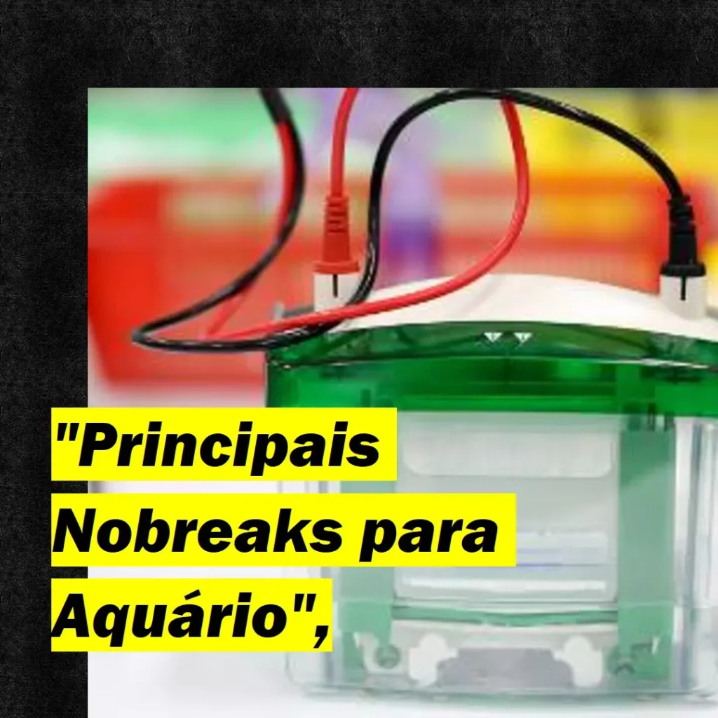 Principais Cinco nobreak para aquario