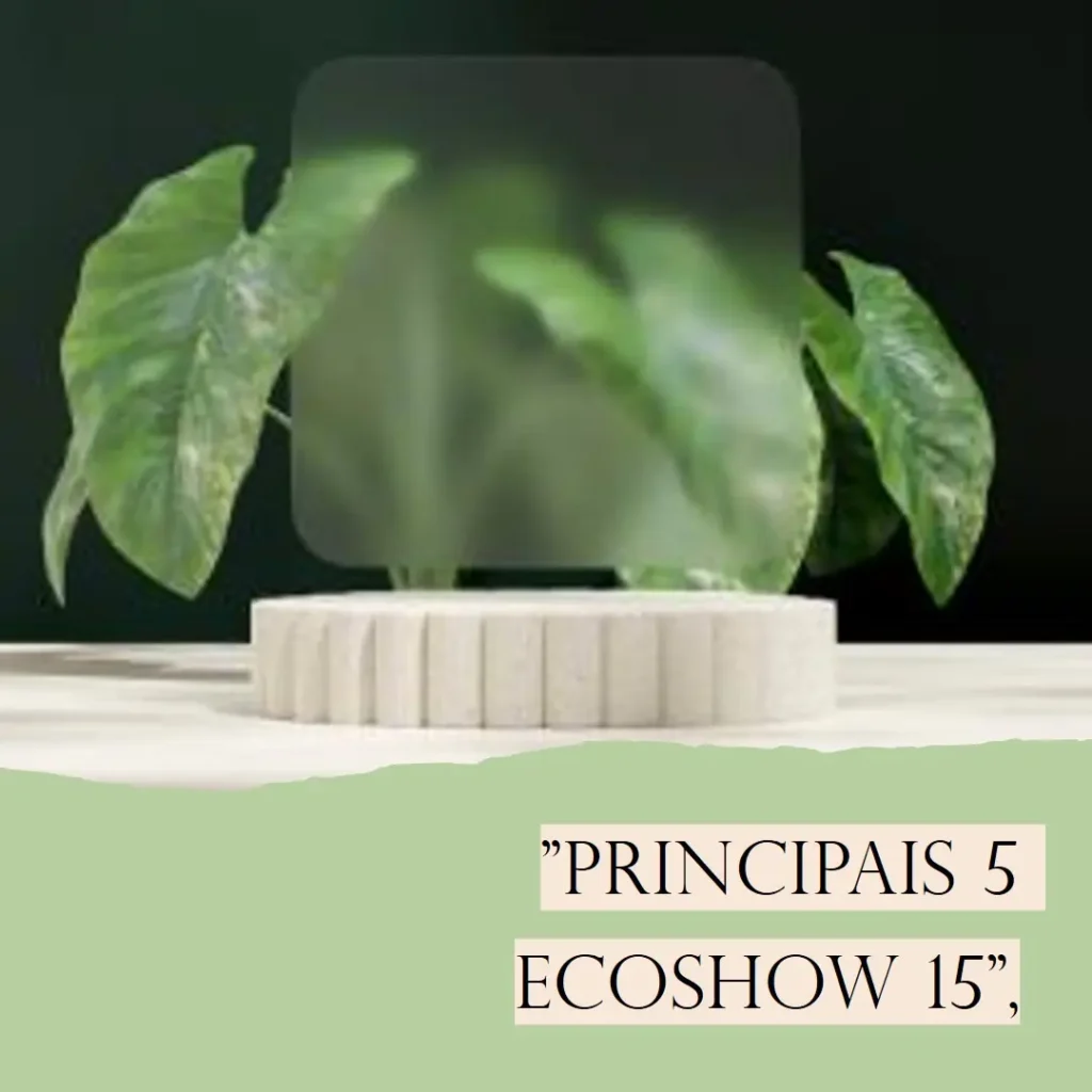 Principais 5 ecoshow 15